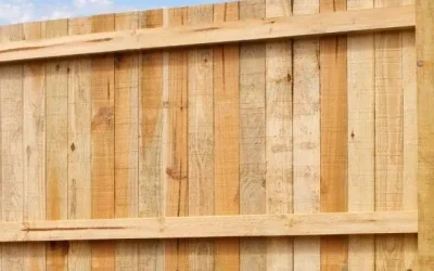 How to Maintain Your Timber Fence So It Lasts 20+ Years
